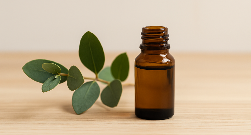 ¿Qué beneficios y usos tiene el aceite esencial de eucalipto?