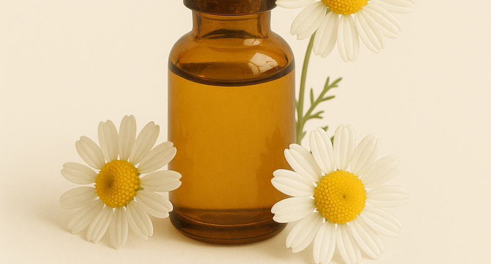 aceite esencial de manzanilla